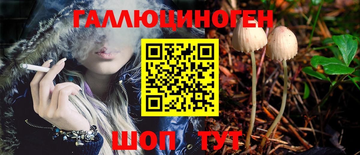Псилоцибиновые грибы Psilocybe Урай