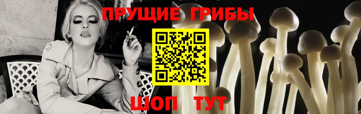 Псилоцибиновые грибы Psilocybe  Псилоцибиновые грибы ЛСД  Вход с VPN  Урай 